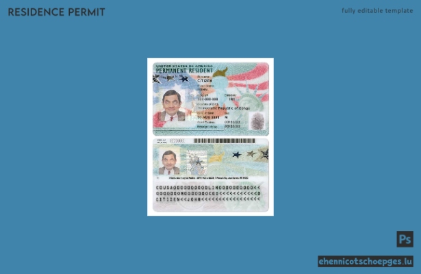 US-Green Card, Daueraufenthaltskarte im PSD-Format, vollständig bearbeitbar, Beispielvorschau (2020 bis heute)